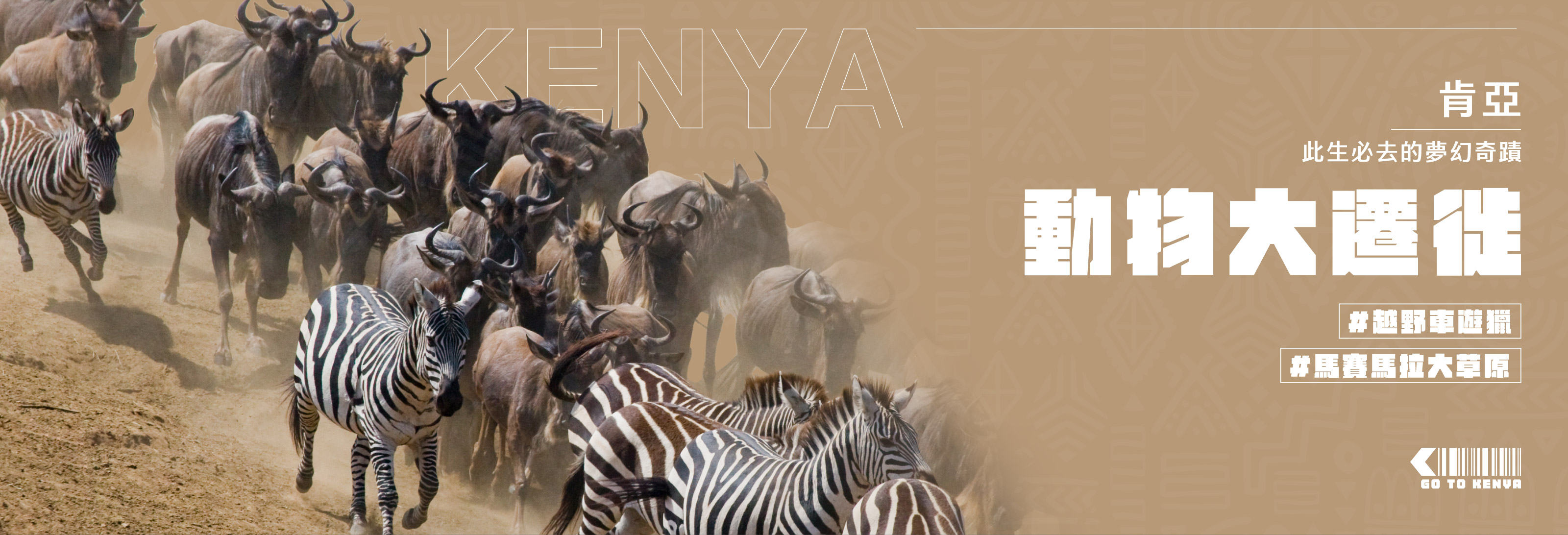 草原之舞 ˙ 肯亞動物大遷徙10日